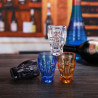 Skull Shape Transparent Acrylic Beer Cups