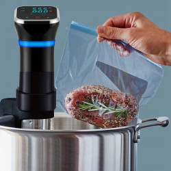 Low Temperature Slow Cooker Thawed Vacuum Steak Machine, Plug Type