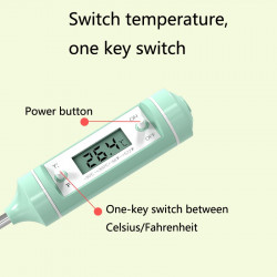 Electronic Food Thermometer (Green)